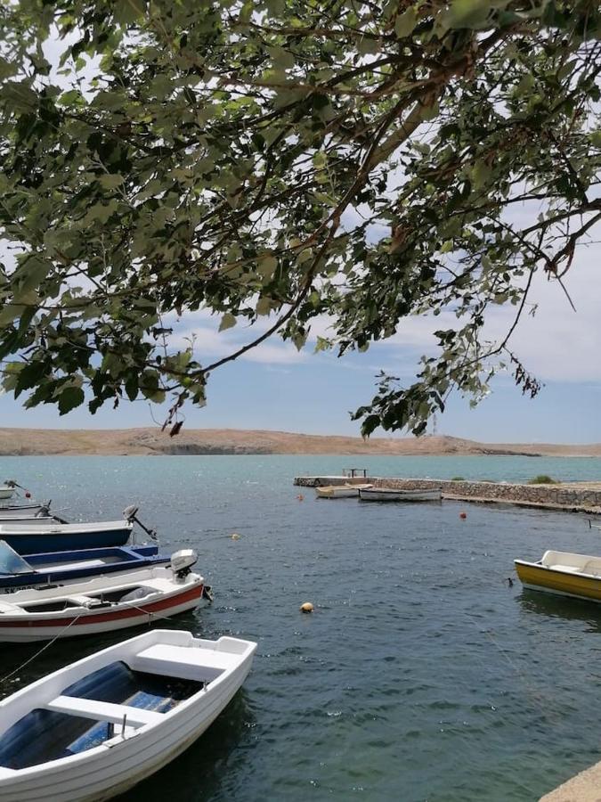Apartman Lidija Dinjiška Dış mekan fotoğraf
