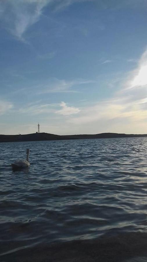 Apartman Lidija Dinjiška Dış mekan fotoğraf